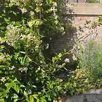 Gite Au Coeur De Tours, Familial Avec Jardin Au Calme, Parking